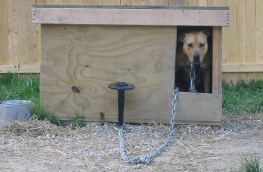 Тёплая будка с тамбуром для&hellip;