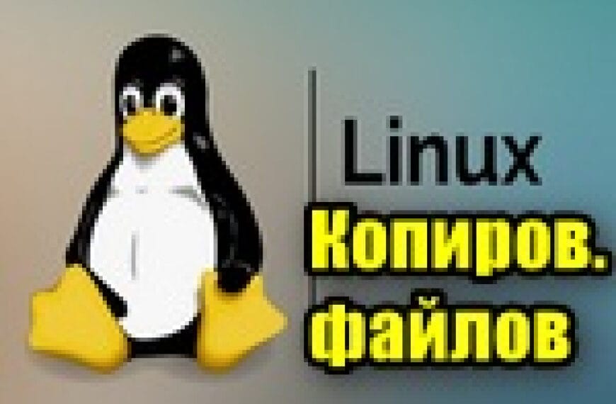 Как копировать файлы в Linux (в т.ч. через терминал с помощью команды CP)