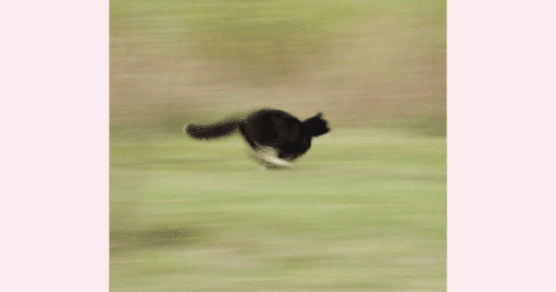 Даем антисоветы: чего не стоит делать при ремонте ноутбуков Даем антисоветы: чего не стоит делать при ремонте ноутбуков