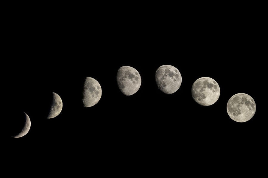 Агроном Рыбаков: на растущей Луне растения растут интенсивнее Агроном Рыбаков: на растущей Луне растения растут интенсивнее