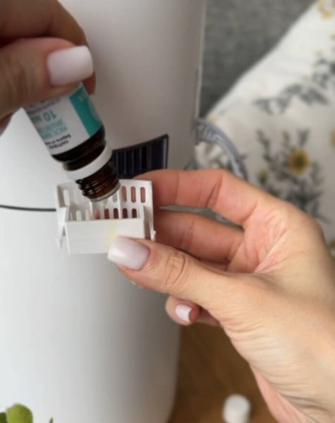 SENDO AIR D50 vs Ballu UHB-310: Как выбрать лучший увлажнитель воздуха SENDO AIR D50 vs Ballu UHB-310: Как выбрать лучший увлажнитель воздуха