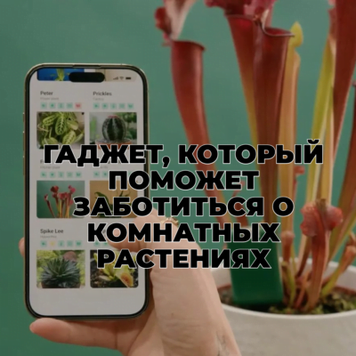 В Англии уже есть гаджет, который поможет заботиться о комнатных растениях 2 Гаджет помощник по уходу за комнатными растениями