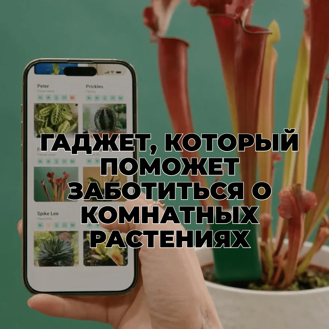 Гаджет помощник по уходу за комнатными растениями