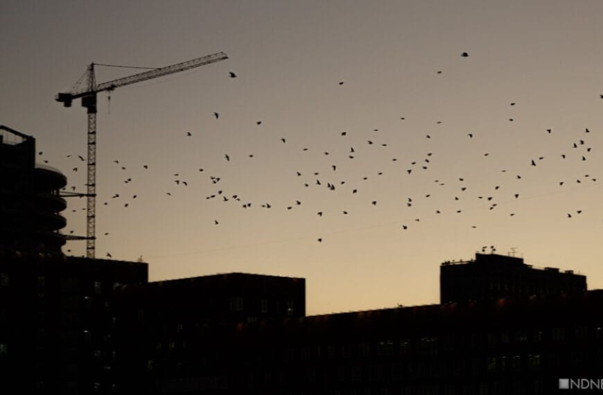 «Доступное» жильё: аналитики вычислили, сколько&hellip;