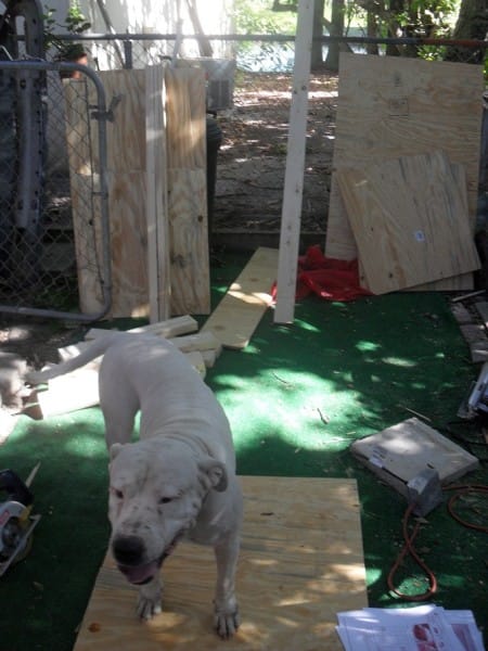 Тёплая будка с тамбуром для собаки Тёплая будка с тамбуром для собаки