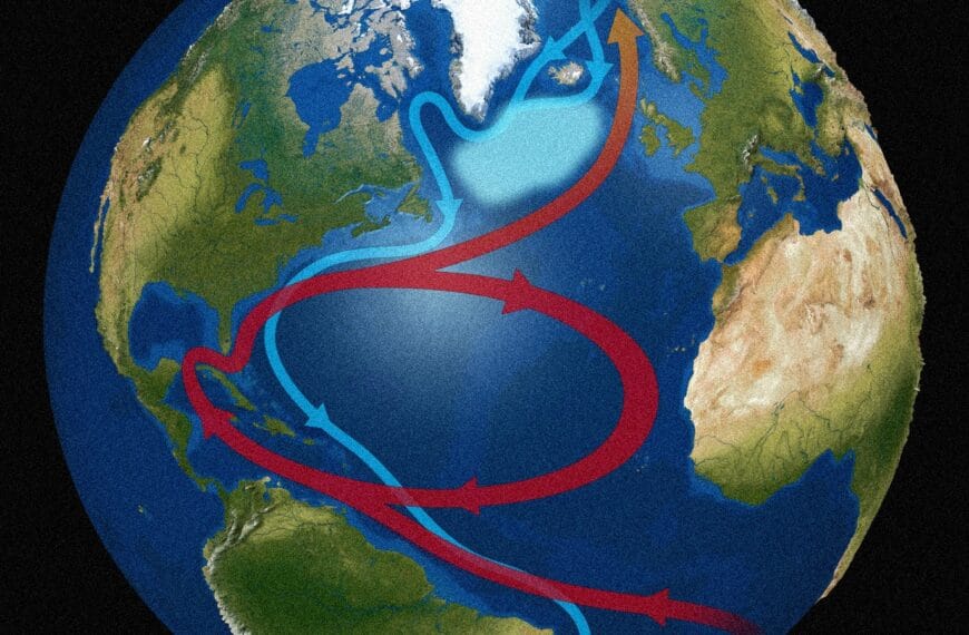 Чрезвычайно важное Океанское Течение, О Котором Вы Никогда Не Слышали