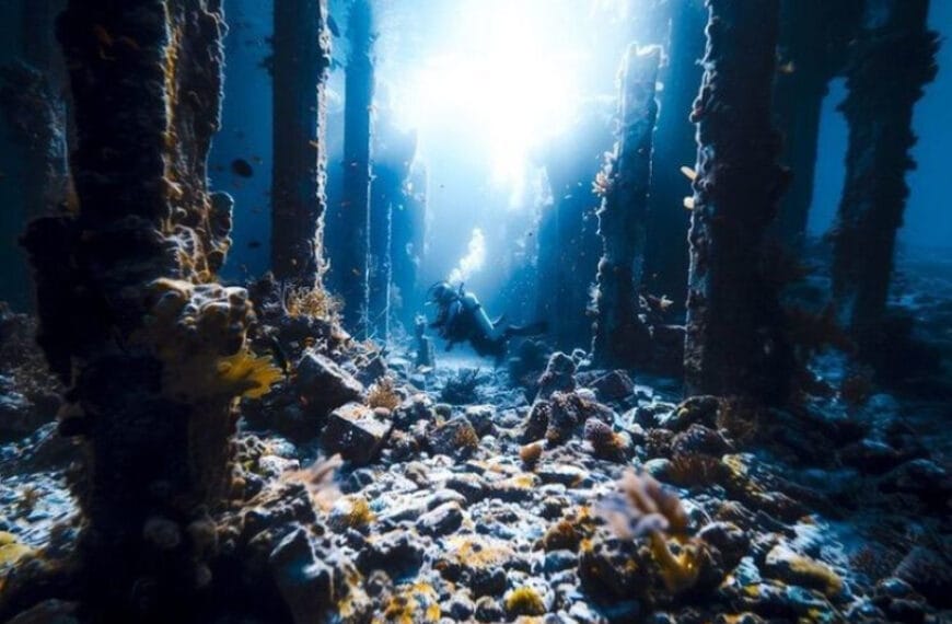 На дне моря археологами сделано&hellip;