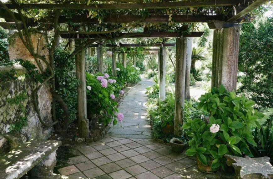 «Тайный сад Калигулы»: найдена терраса&hellip;