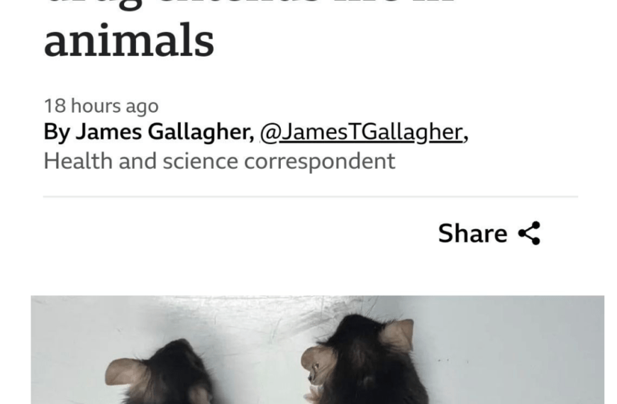 ученые победили старость