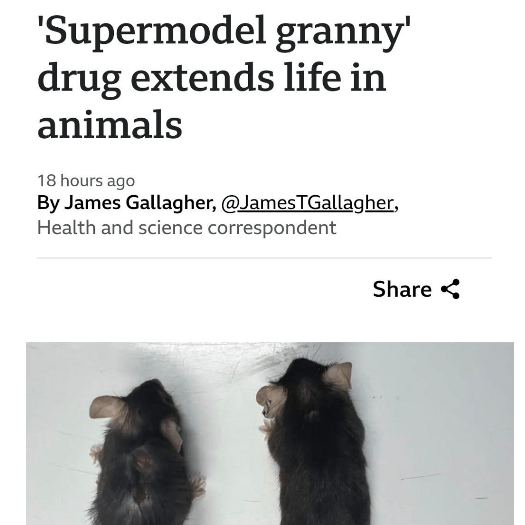 Учёные победили старость 2 ученые победили старость