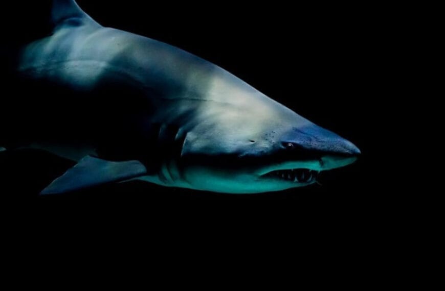 Ученых удивили положительные анализы на&hellip;