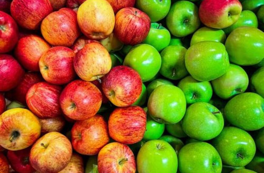 В Iphone предустановят искуственный интеллект