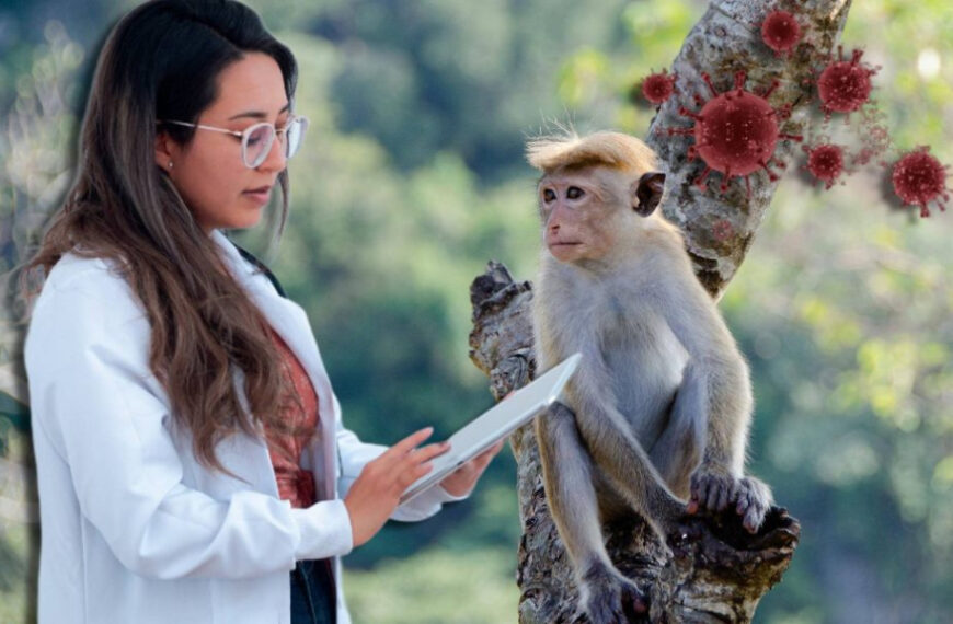 «Сюрприз будет»: оспа обезьян уже&hellip;