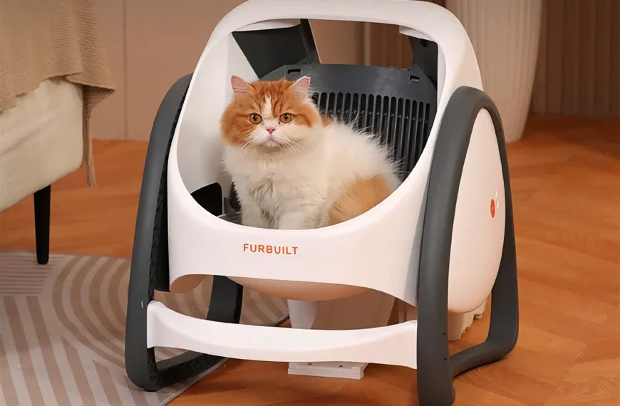 Для владельцев кошек разработали революционный лоток с функцией самоочистки