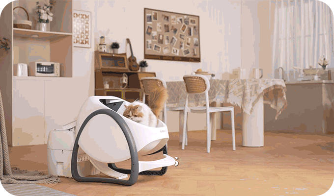 dlja vladelcev koshek razrabotali revoljucionnyj lotok s funkciej samoochistki 7a10b04