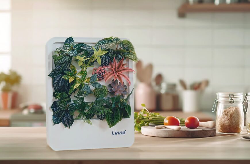 Новинка в мире садоводства: самополивающийся&hellip;