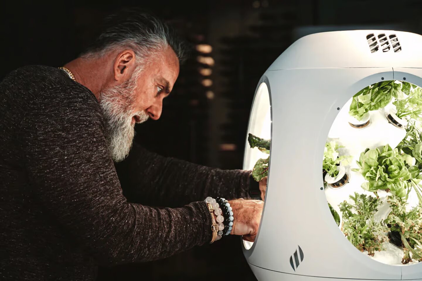 predstavlen avtomatizirovannyj mini sad na pitatelnom tumane 9f16d4a