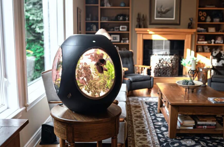 Представлен автоматизированный мини-сад на питательном тумане