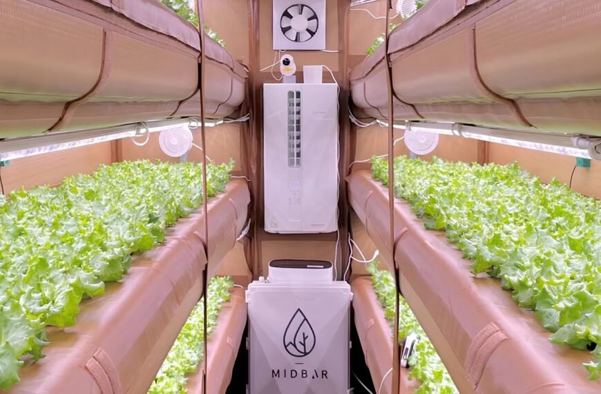 Представлена первая в мире надувная ферма для выращивания овощей в пустынях