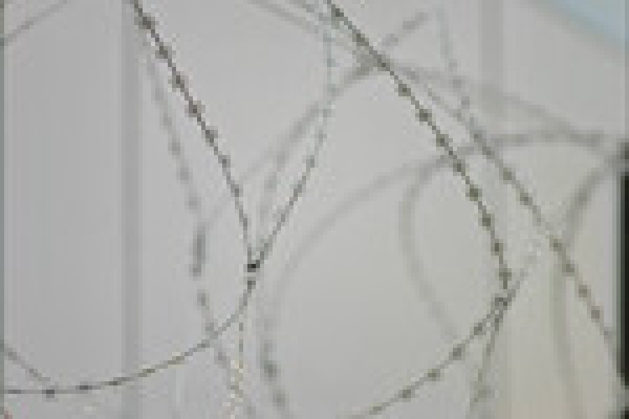 Революция в мобильной фотографии: обзор концептуального смартфона Realme Революция в мобильной фотографии: обзор концептуального смартфона Realme