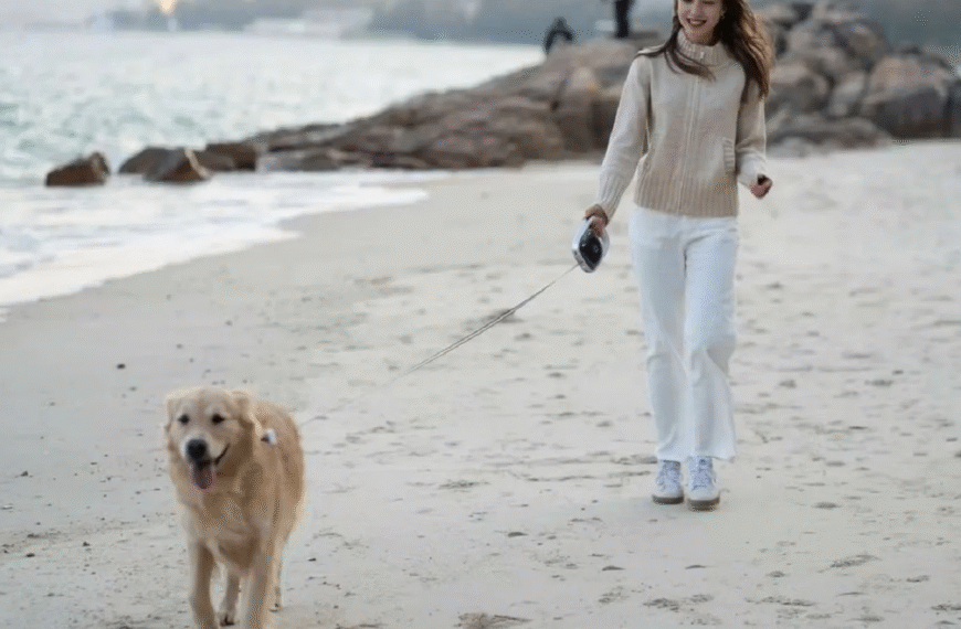 Hello.it выпустила поводок для собак с «умным» тормозом и бесконечной батареей