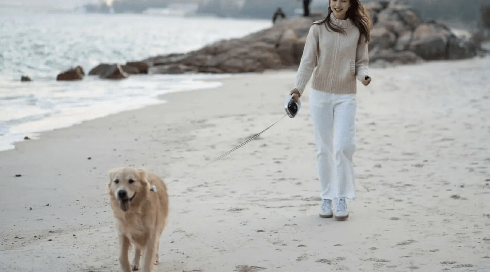 hello-it-povodok-dlya-sobak hello-it-povodok-dlya-sobak