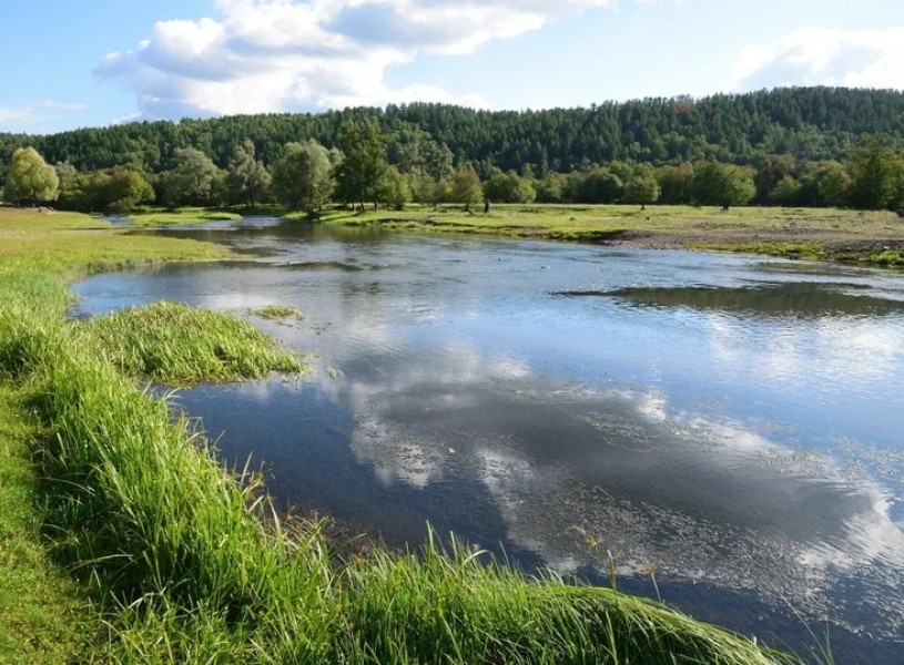 Обнаружен новый вид рыб в бассейне реки Урал