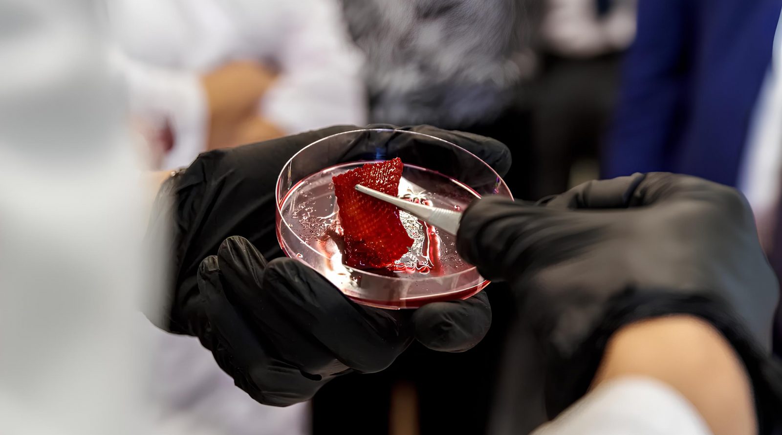 В России разработали технологию печати полезного мяса на 3D-принтере 2 v-rossii-razrabotali-tehnologiju-pechati-poleznogo-mjasa-na-3d-printere-8c64965.jpg