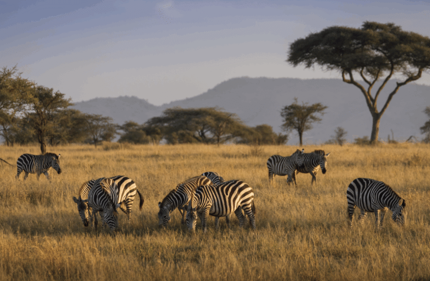 Ученые говорят: Экосистема