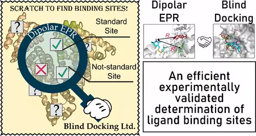 Компьютерного моделирования будет недостаточно для разработки противораковых препаратов 2 10bec7e6f9e976660e1e55a48cb29610.webp