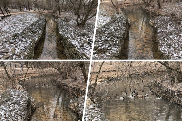 Наконец-то флагман. Обзор самого мощного смартфона Huawei &mdash; Mate 70&nbsp;Pro