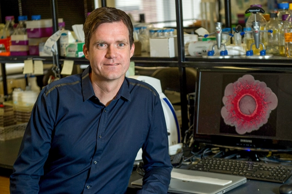 Как странная форма биопленки возникает из клеточной геометрии 3 Портрет Ларса Дитриха.