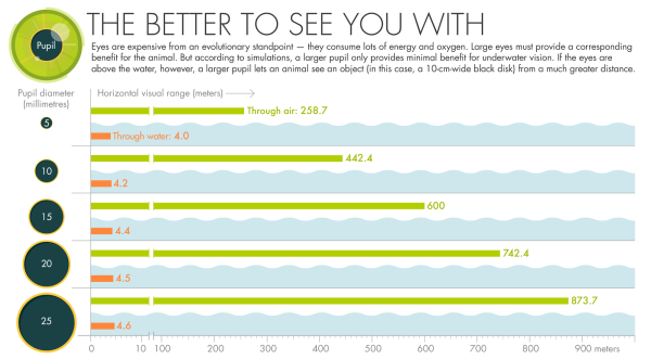 Почему жизнь переместилась на сушу? Для просмотра 3 4bc720ded771875815ed3d211cbd543a