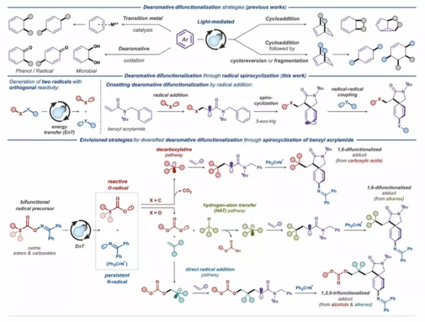 Ученые создали метод синтеза сложных молекул в один шаг для разработки лекарств 11 51a7bcfe015166fd4648ee103e9e3e13.png