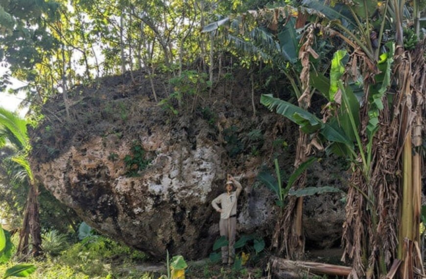 Ученые раскрыли тайну перемещения гигантского камня на склон горы