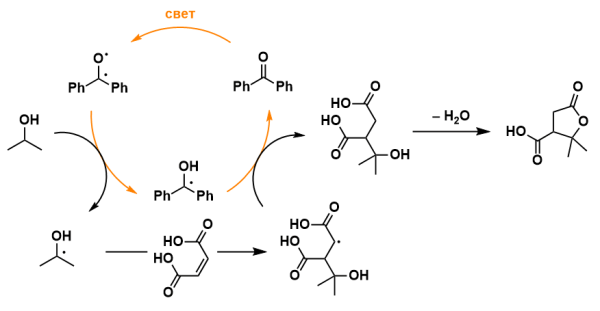 77b81f6df72560117282c638f73b6814