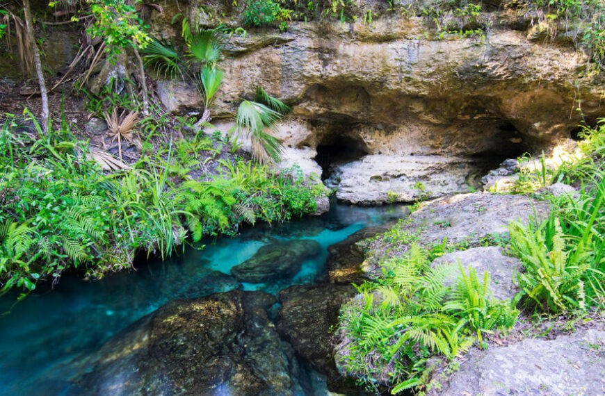 Исследование раскрывает секреты подземных переходов&hellip;
