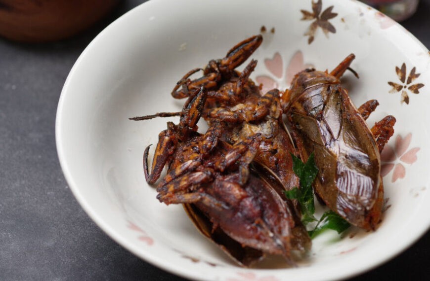 Подростки стараются сохранить в меню гигантских водяных жуков