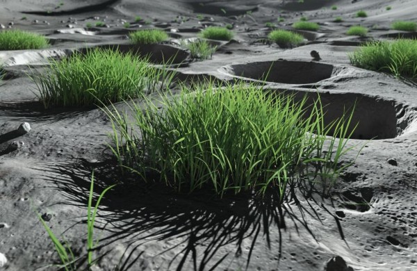 Китайские ученые придумали, как сделать лунный грунт плодородным 2 b0853ee89b4bc1b436c112a57829336e.jpg