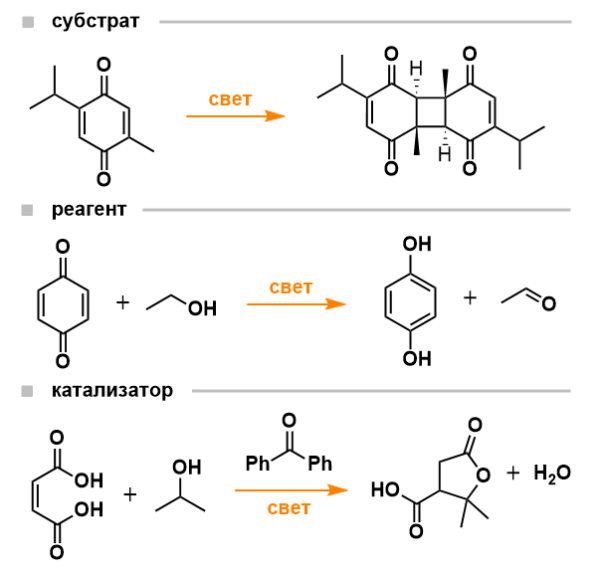 b8046a9d8fe66a6a749a29e5d0bfbeb0