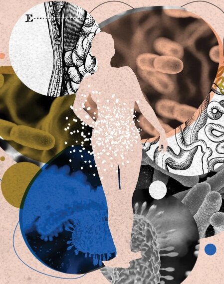 Изучаем незваных гостей