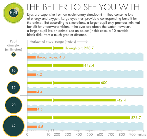 Почему жизнь переместилась на сушу? Для просмотра 2 fa47514c7314a8774c51d61313d07e32