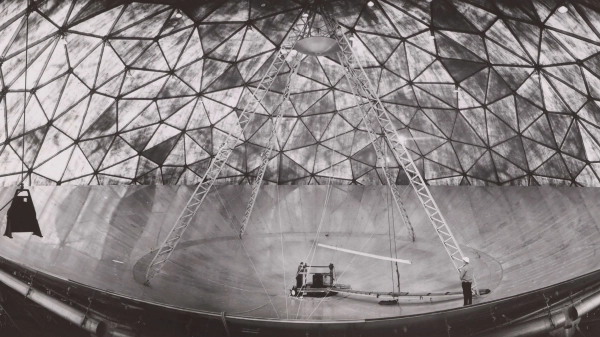 Первый расцвет Haystack