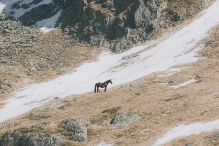 ИИ идеально увеличивающий любой объект