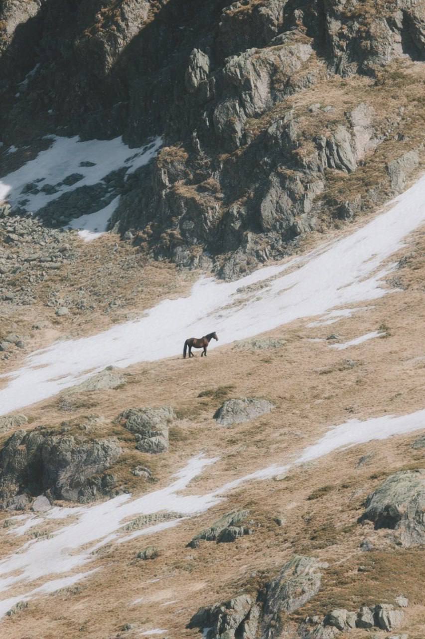 ИИ идеально увеличивающий любой объект 2 ИИ идеально увеличивающий любой объект