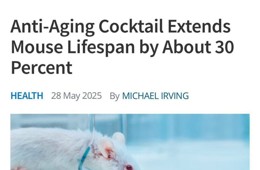 Учёные в Германии создали «коктейль молодости"