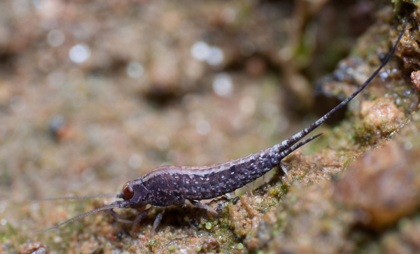 0bfe9a8262877ed876e3d623612d4ac5