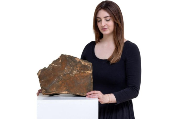 Самый большой марсианский метеорит на&hellip;