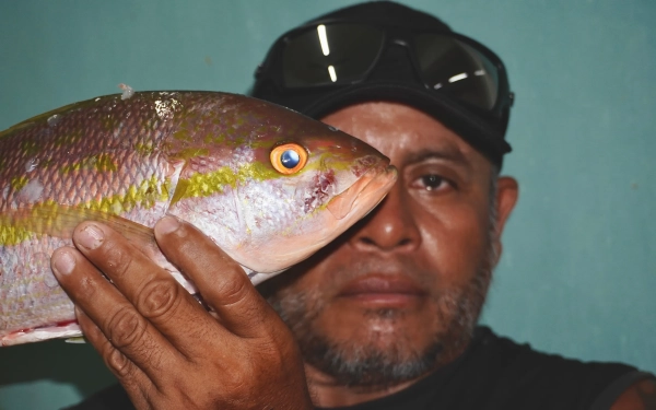 На Карибском побережье Мексики туристам предлагают лобстеров, а всем остальным — микропластик 1 1694e3d66c4d66f9d38ba8cef61d4b12.jpg