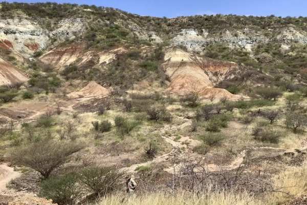 Древнейшие белки, обнаруженные в зубах возрастом 18 миллионов лет 2 1baef2a9c7602edf8b21892b9a58233c.jpg